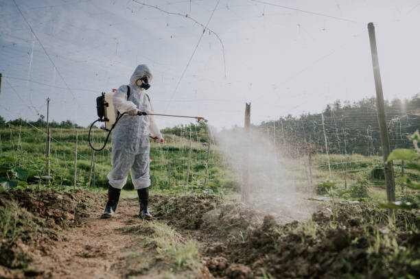 Pest Control Cost in Forty Fort, PA
