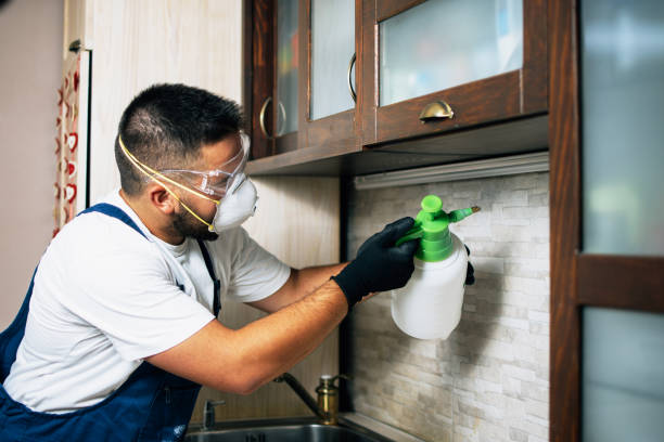 Best Commercial Pest Control Services  in Forty Fort, PA