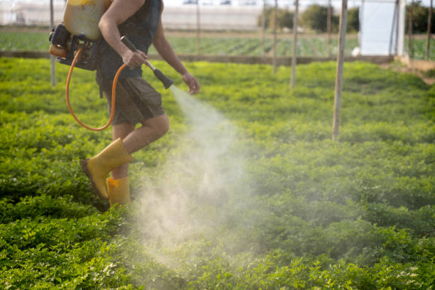 Best Pest Prevention Services  in Forty Fort, PA