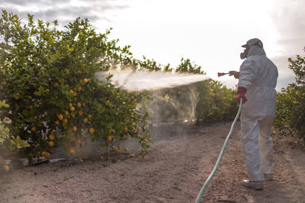 Professional Pest Control in Forty Fort, PA