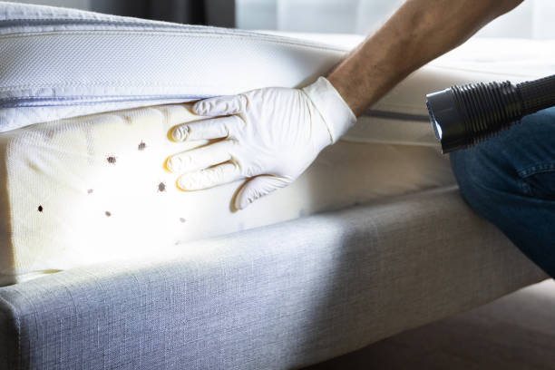 Pest Control for Restaurants in Forty Fort, PA