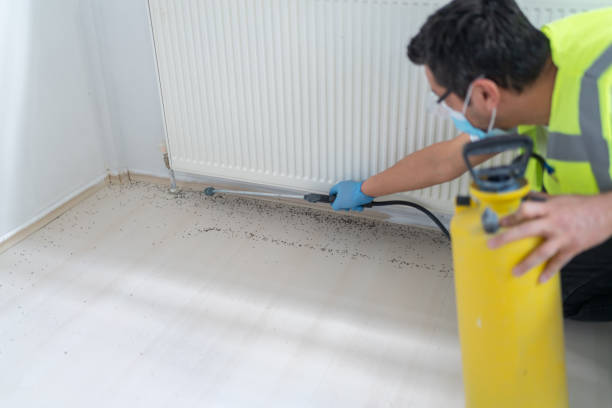 Best Mosquito Control Services  in Forty Fort, PA